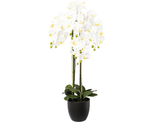 Plantă artificială Orhidee fluture Phalaenopsis în vas ceramic H 99 cm alb Orhidee în ghiveci negru