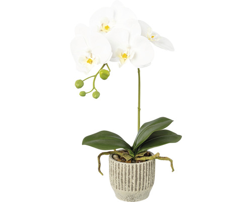 Plantă artificială Orhidee fluture Phalaenopsis în ghiveci H 36 cm alb
