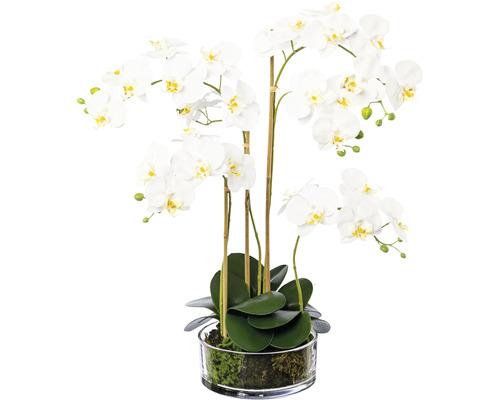 Plantă artificială Orhidee fluture Phalaenopsis în vas H 50 cm alb