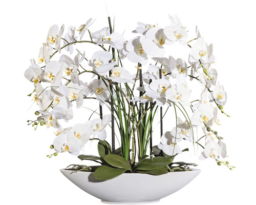 Plantă artificială Orhidee fluture Phalaenopsis în vas 8 ramuri H 70 cm alb