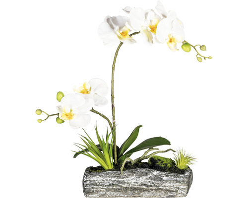 Aranjament artificial Orhidee Phalaenopsis în vas H 40 cm crem