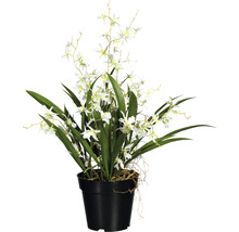 Plantă artificială de interior cu flori albe într-un ghiveci negru