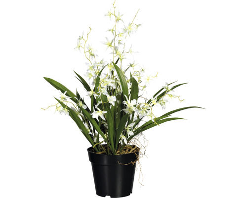 Plantă artificială Oncidium dancing queen în ghiveci H 60 cm alb