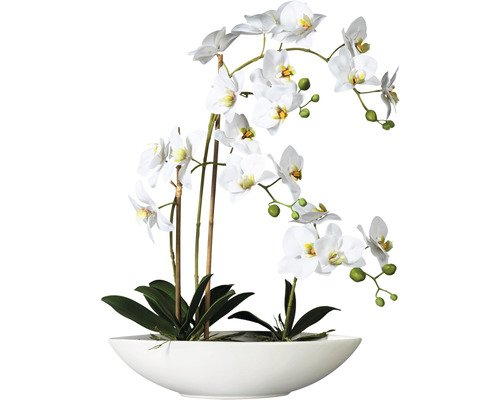 Plantă artificială Orhidee fluture Phalaenopsis în vas 4 ramuri H 60 cm alb