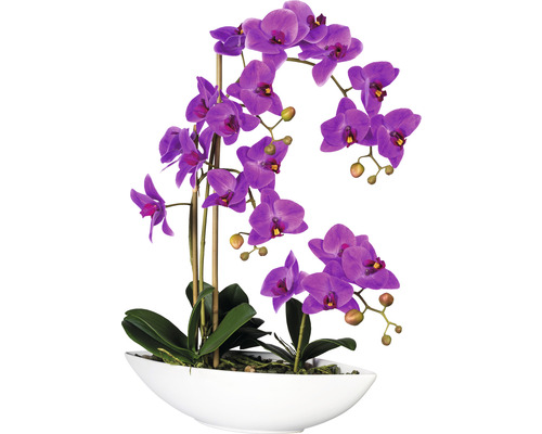 Plantă artificială Orhidee fluture Phalaenopsis în vas 4 ramuri H 60 cm lila