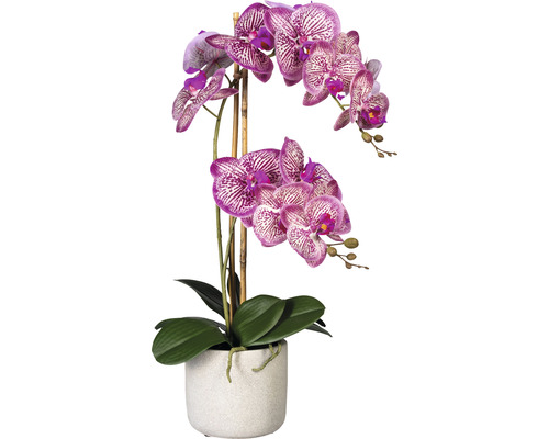 Plantă artificială Orhidee fluture Phalaenopsis în vas H 60 cm roz