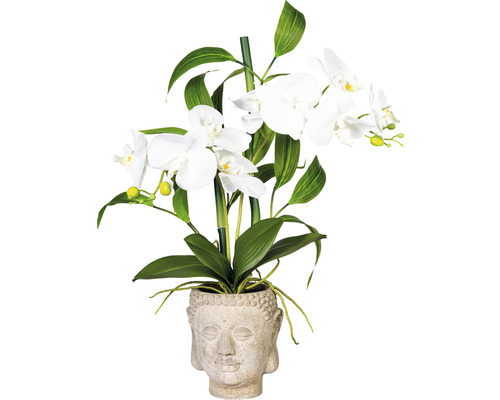 Aranjament artificial Orhidee în vas Buddha H 60 cm alb