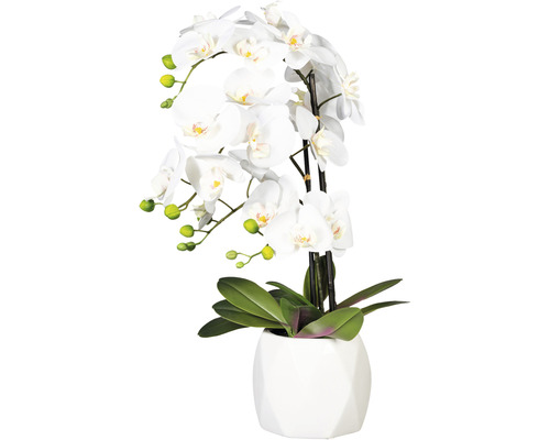 Plantă artificială Orhidee fluture Phalaenopsis în vas alb H 60 cm alb
