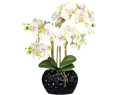 Plantă artificială Orhidee fluture Phalaenopsis în vas H 55 cm alb