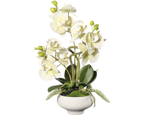 Plantă artificială Orhidee fluture Phalaenopsis în vas 3 ramuri H 50 cm alb