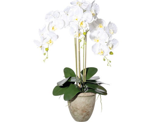 Plantă artificială Orhidee fluture Phalaenopsis în vas H 75 cm alb