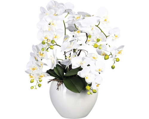 Plantă artificială Orhidee fluture Phalaenopsis în vas ceramic H 56 cm alb Orhidee artificială într-o vază