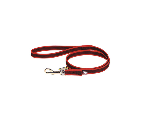 Lesă pentru câini cu carabină