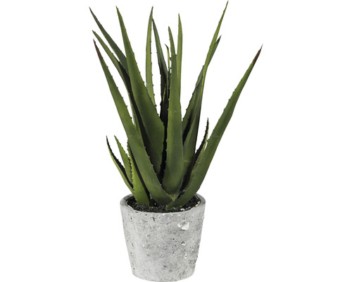 Plantă artificială Aloe Vera în ghiveci H 40 cm verde HORNBACH