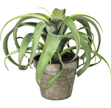 Tillandsia artificială într-un ghiveci