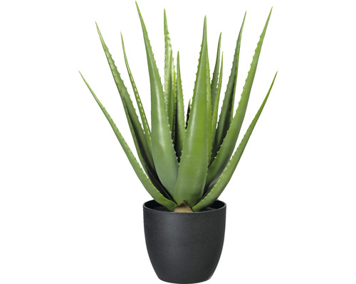Plantă artificială Aloe Vera în ghiveci H 66 cm verde