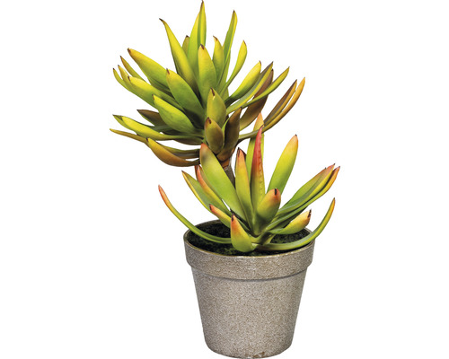 Plantă artificială Aloe Plicatilis în ghiveci H 30 cm verde