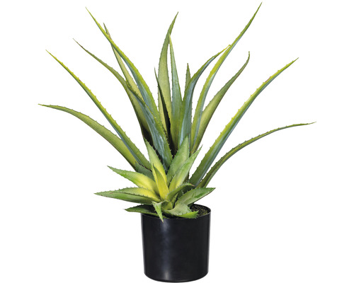 Plantă artificială Aloe Vera 2 ramuri în ghiveci H 48 cm HORNBACH