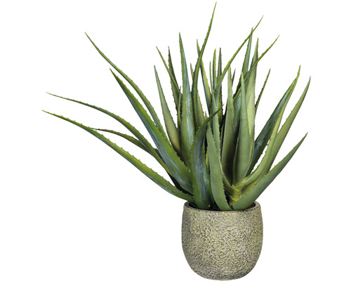 Plantă artificială Aloe Vera 37 tije în ghiveci H 48 cm HORNBACH