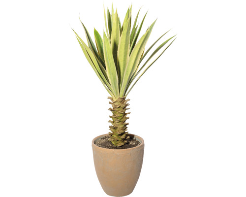 Plantă artificială Yucca în ghiveci H 75 cm verde | HORNBACH