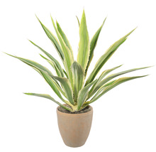 Plantă artificială Agavă în ghiveci H 85 cm verde