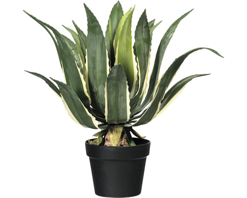 Plantă artificială Agavă americana 'Variegata' în ghiveci H 55 cm verde