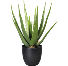 Plantă artificială Aloe Vera în ghiveci