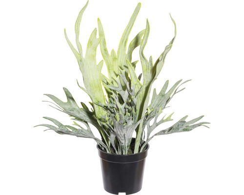 Plantă artificială Feriga Platycerium mix în ghiveci H 40 cm verde