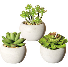 Plantă artificială Suculente în ghiveci H 8 cm verde