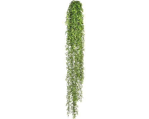 Plantă artificială Ruscus suspendat H 160 cm verde