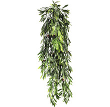 Măslin artificial ca plantă agățătoare
