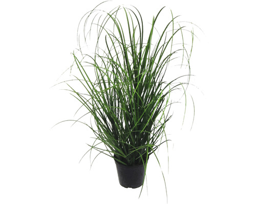 Plantă artificială Tufă iarbă în ghiveci H 60 cm