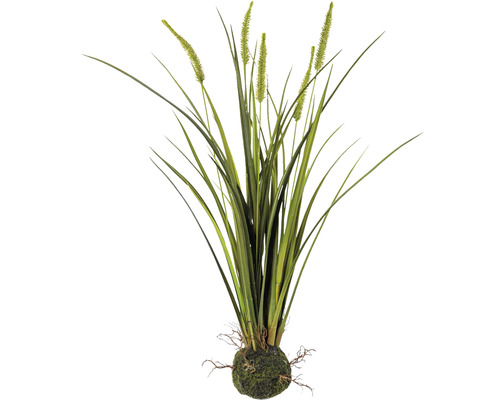 Plantă artificială Iarbă Miscanthus H 63 cm verde