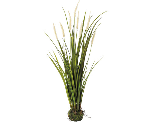 Plantă artificială Iarbă Miscanthus H 75 cm crem