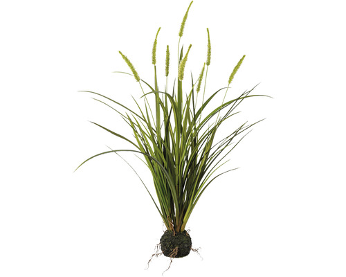 Plantă artificială Iarbă Miscanthus H 75 cm verde