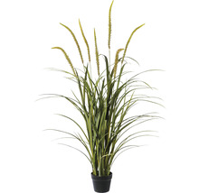 Plantă artificială Miscanthus în ghiveci H 135 cm verde