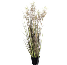 Plantă artificială Iarbă Calamagrostis acutiflora în ghiveci H 104 cm