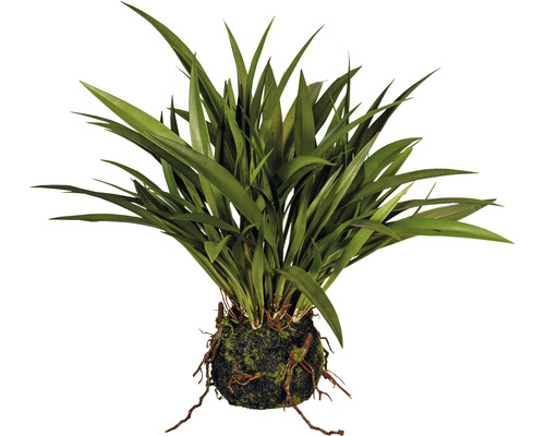 Plantă artificială Iarbă Miscanthus H 35 cm verde