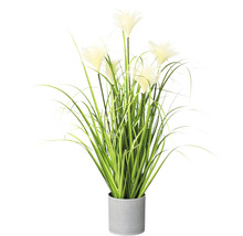 Plantă artificială decorativă cu iarbă de pampas într-un ghiveci