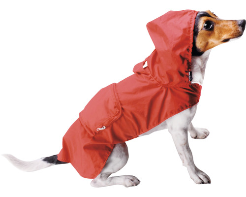 Câine cu impermeabil roșu și glugă