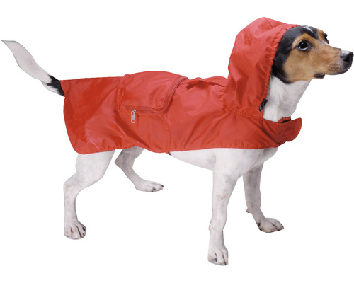 Câine cu pelerină de ploaie roșie și glugă