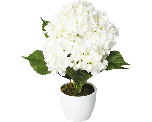 Plantă artificială Hortensie în ghiveci H 63 cm alb