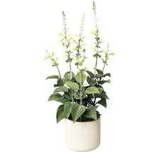 Plantă artificială Salvie în ghiveci H 45 cm alb