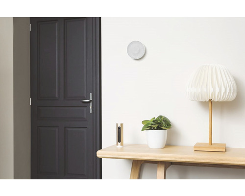 Cameră de zi cu ușă, consolă, lampă de masă, plantă, stație meteo și detector de fum