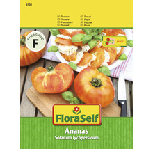 Semințe de tomate Ananas FloraSelf