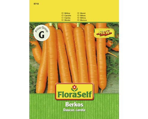 Semințe de morcovi FloraSelf Berkos F1