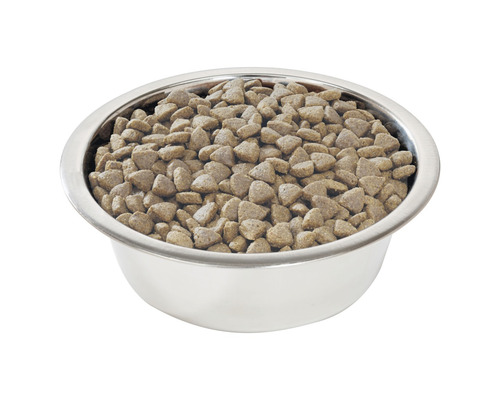 Castron pentru animale de companie umplut cu hrană uscată