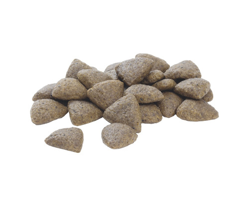 Grămadă de hrană uscată pentru câini