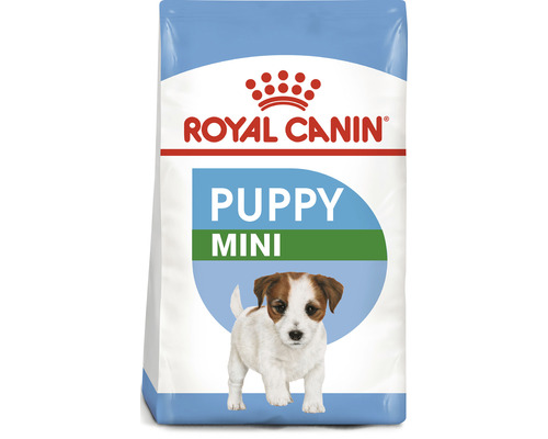 Hrană uscată pentru câini Royal Canin Mini Puppy 0,8 kg Royal Canin Puppy Mini hrană uscată pentru căței de rase mici