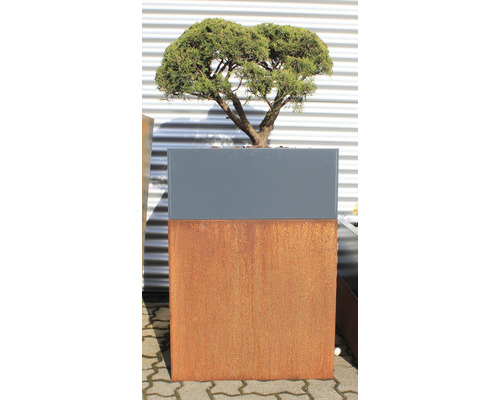 Jardinieră pătrată cu copac